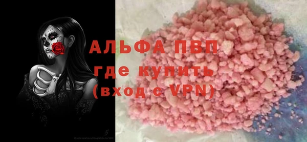 сатива Горняк