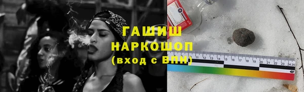 сатива Горняк