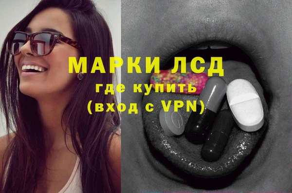 PSILOCYBIN Горно-Алтайск