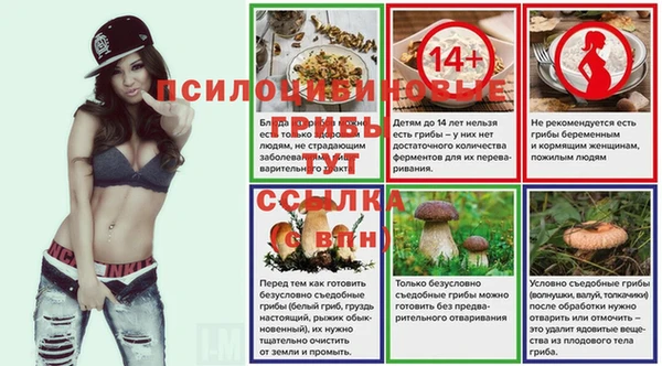 соль ск Волосово
